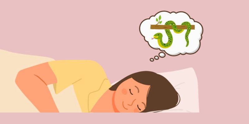 Mơ thấy rắn đánh lô đề con gì ăn to trúng lớn?